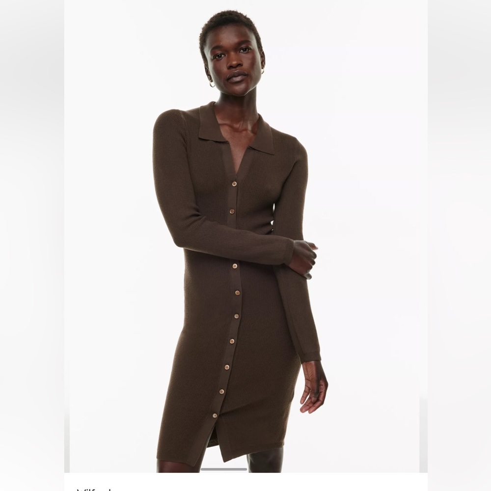 Aritzia Cove Sweater Dress